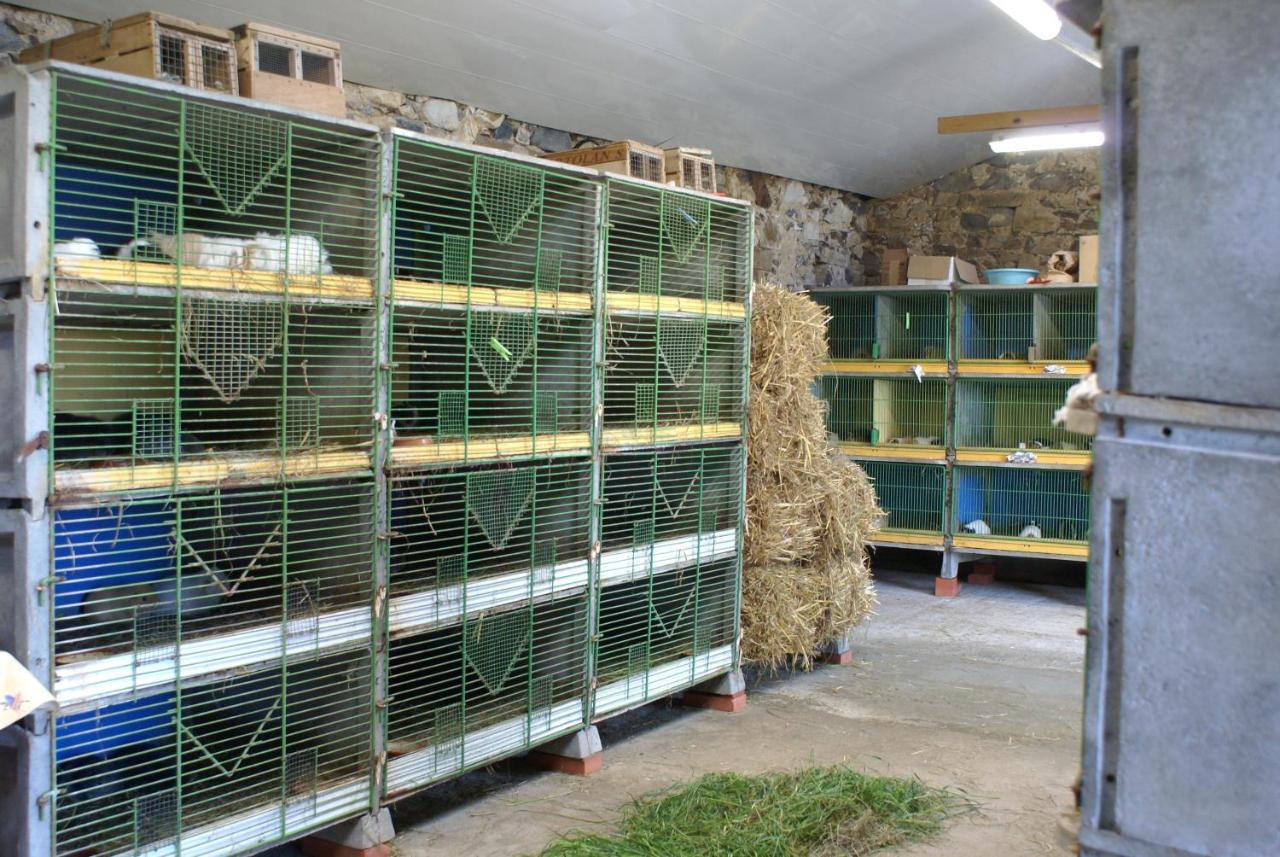 Le Logis Des Chons A La Campagne A Saint Hilaire Du Bois - Lys Haut Layon Le Plessis  Екстер'єр фото