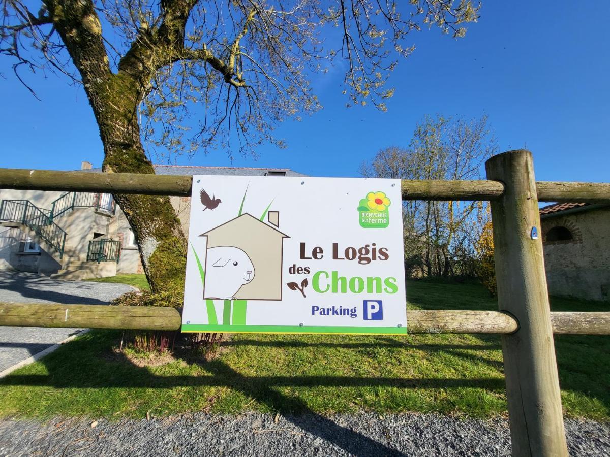 Le Logis Des Chons A La Campagne A Saint Hilaire Du Bois - Lys Haut Layon Le Plessis  Екстер'єр фото